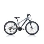 Bıanchı Xr24.2 Erkek Dağ Bisikleti 310H V 24 Jant 21 Vites Gri Siyah