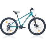Bıanchı XR24 24 Jant 330H 7u Shımano 8 Speed CK16-SILVER Graphıte Turke- - Gri