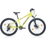 Bianchi XR24 24 Jant 8 Vites Mekanik Disk Fren Sarı-Gümüş Grafit Erkek Çocuk Dağ Bisikleti - Altın Sarısı - Siyah