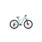 Bianchi XR24 330H MD 24 Jant 8 Vites CK16 Silver Graphite Turkey Erkek Dağ Bisikleti