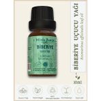Biberiye Uçucu Yağı %100 Doğal ve Saf - 10ml