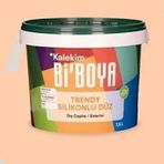 Bi'Boya 4111 7.5 lt Silikonlu Dış Cephe Boyası