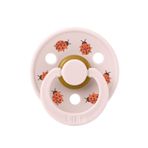 Bibs Studio Colour Ladybug Friends Emzik-Petal 6-18 Ay