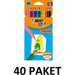 Bic 40 Paket Tropicolors Kuru Boya Kalemi 12 Renk Tam Boy Çocuklar İçin Eğlenceli Boyama Seti