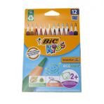 BIC 5386 12 Renk Jumbo Uzun Kuru Boya Kalemi