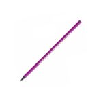 Bic 901737 Evolutıon Purple Kurşun Kalem
