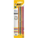 Bic 918485 Evolution 646 4'lü Kurşun Kalem