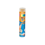 Bic 958191 Evolution 12+1 Renk Metal Kutu Kuru Boya Kalemi