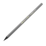 Bic Eco Evolution Black HB Kurşun Kalem