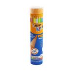 Bic Evolution Kuru Boya Kalemi Seti, 24+1 Metal Tüp