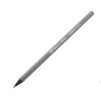 Bic Evolution Siyah Kurşun Kalem