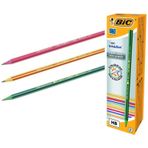 Bic Evolution Stripes 646 Siyah 12 Li Kurşun Kalem