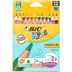 Bic Evolution Üçgen 12'li Kuru Boya