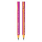 Bic Kids Evolution Üçgen Jumbo 2 Adet İlk Yazım Kalemi