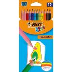 Bic Kids Tropicolors 12'li Kuru Boya Kalemi