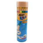Bic Kids Tüp Metal Kutulu Üçgen Jumbo Kuru Kalem Boya Seti 12li