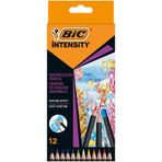 Bic Yoğunluk Suluboya Kalem Kutusu 12