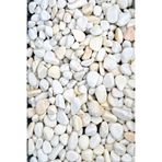 BİÇİÇEK 3 Kg Dekoratif Beyaz Taş 1 - 2 Cm Tamburlanmış