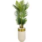 Biçiçek Areka Palmiyesi 160CM Krem Gold Metal Darbuka Saksıda - Krem - Altın