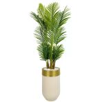 Biçiçek Areka Palmiyesi 160Cm Krem Gold Metal Darbuka Saksıda