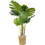 Biçiçek Monstera Ağacı 150Cm Fejka Hasır Saksıda