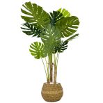 Biçiçek Monstera Ağacı 150Cm Geoit Hasır Saksıda