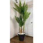 Biçiçek Yapay Areka Ağacı Büyük Boy Palmiye Ağacı 4 Bambu Gövdeli 220CM Antrasit Renk Yalı Saksıda