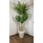 Biçiçek Yapay Areka Ağacı Büyük Boy Palmiye Ağacı 4 Bambu Gövdeli 220CM Kırıkbeyaz Renk Yalı Saksıda
