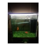 bidevre Akvaryum Ve Araç Içi Led Aydınlatma, 25 Cm, Beyaz, 12 Volt Adaptör Ile Birlikte