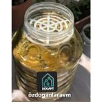 Bidon Pet Kavanoz Seperatorü Turşu Zeytin Peynir Seperatör 10 Adet - Beyaz