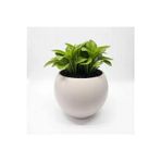 Bidünya Küre Saksı Modern Dekoratif Plastik Saksı 7,5 Litre (İçsiz)
