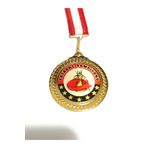 bidünyamadalya Satranç Turnuvası Madalyası