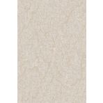 Bien Home Adawall Dante 1406-3 Krem Düz Desen Duvar Kağıdı 10,60m²