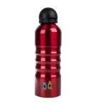 Biggdesign Cats Alüminyum 700 ml Renkli Matara