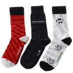 Biggdesign Dogs Erkek 3'Lü Soket Çorap Seti