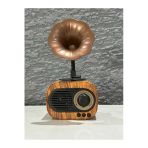 Biggsm Nostalji Bluetooth Hoparlör Dahili Radyo Hafıza Kart Aux Gramafon Ekstra Bass Yüksek Ses