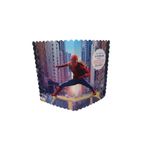 Bigibu Klasik Karne Kabı Kılıfı 10 Adet Spider Man Örümcek Adam