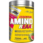 Bigjoy 420 Gr Karpuz Essential Amino Reaal