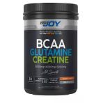 Bigjoy Bcaa+Glutamine+Creatine 480 G Portakal