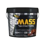 Bigjoy Bigmass Gainer +Gh Factors 3000 G/çikolata