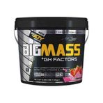 Bigjoy Bigmass Gainer +Gh Factors 3000 G/çilek