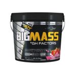 Bigjoy Bigmass Gainer +Gh Factors 5000 G/çilek