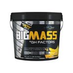 Bigjoy Bigmass Gainer +Gh Factors 5000 G/Muz