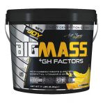 Bigjoy Bıgmass Gainer + Gh Factors 5000 Gr Muz