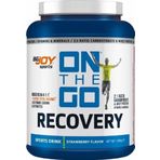 BigJoy On The Go Recovery Çilek 1.05 kg Protein Tozu