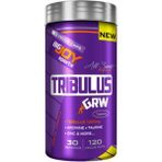 Bigjoy Sports Bigjoy Sports Trıbulus Grw 120 Kapsül
