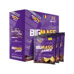 BigJoy Sports BIGMASS Gainer Mix-1 5000 gr Protein Tozu