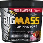Bigjoy Sports Bigrmass grhfactors Mass grainer 5 Kgr Mix Flavors Karbonhidrat Tozu Higrh Carbonhidrate&Protein&Vitamins