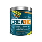 BigJoy Sports CreaBig Mikronize 300 gr Kreatin