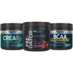Bigjoy Sports Pre-Dator( Preworkout )Orman Meyveli 289 gr+ Bcaa+Glutamine Vişne 242 gr +CREABIG(KREATIN)120 gr
